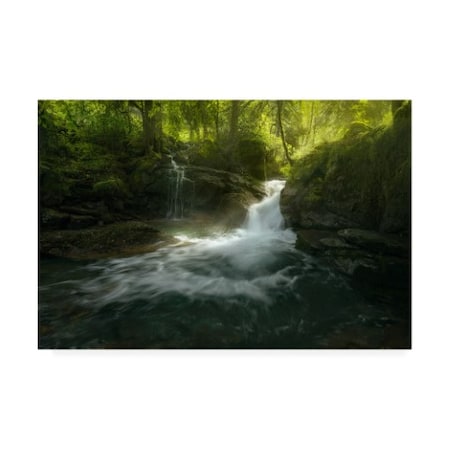 Enrico Fossati 'Stream Of Life Water' Canvas Art,12x19